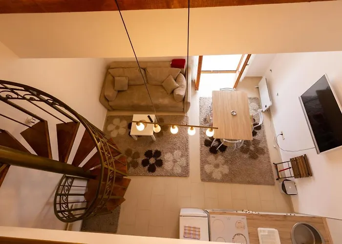 Sunce Zova ズラティボール